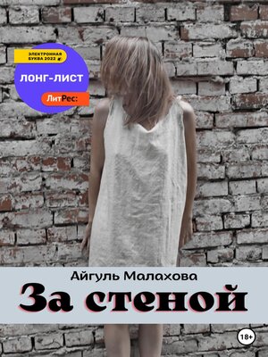 cover image of За стеной